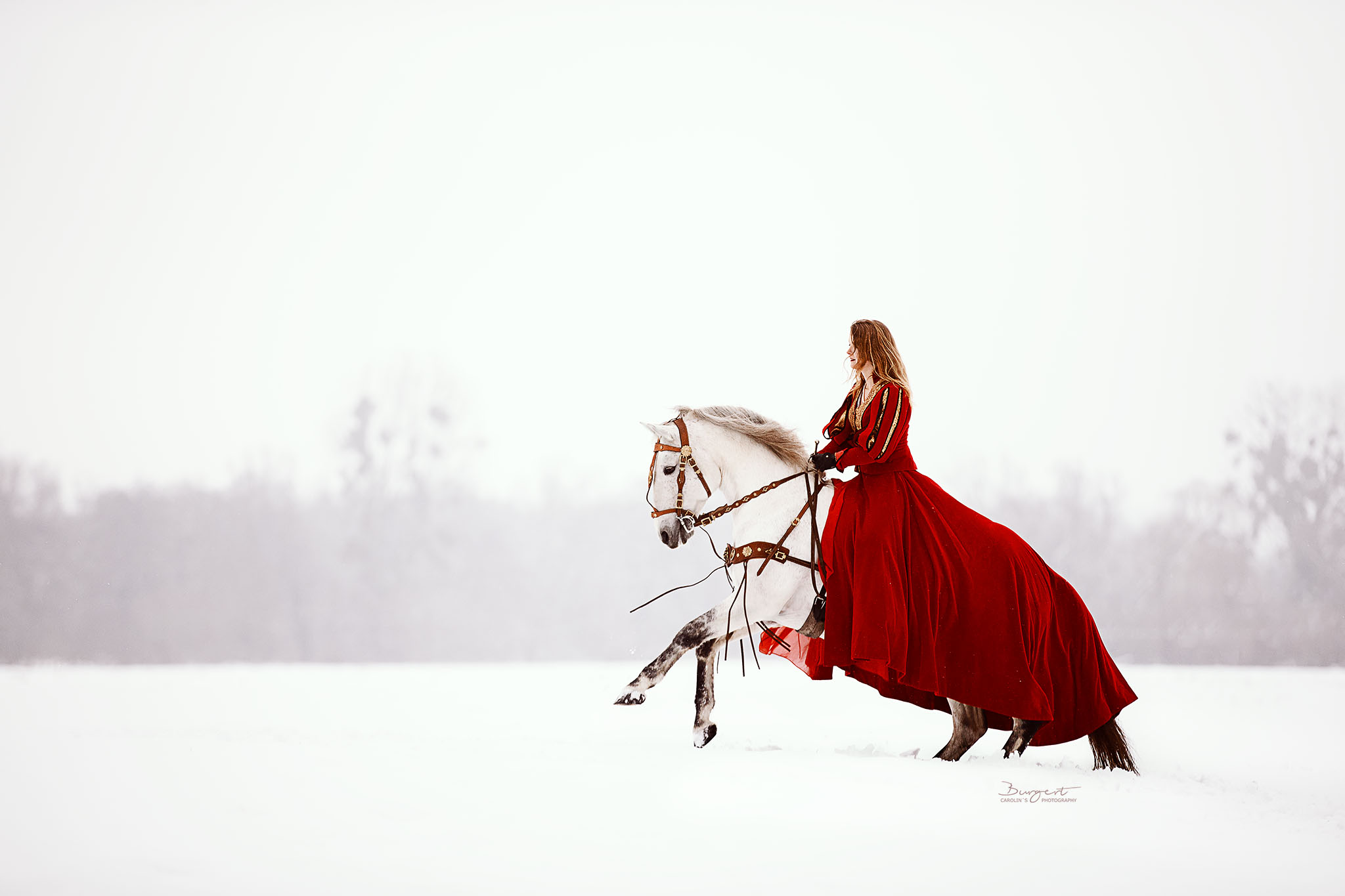 Prinzessin mit Schimmel im Schnee
