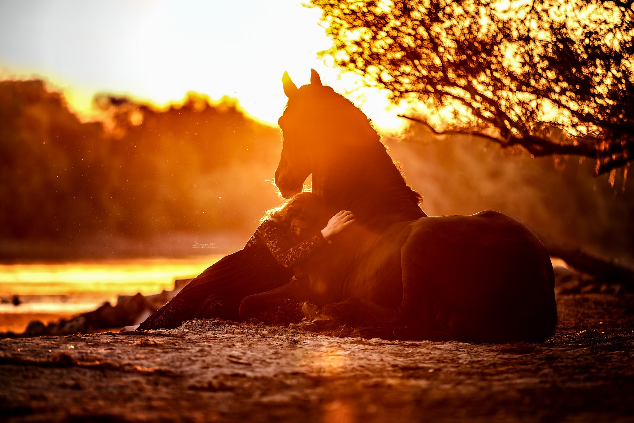 Frau mit Pferd am Strand im Sonnenaufgang