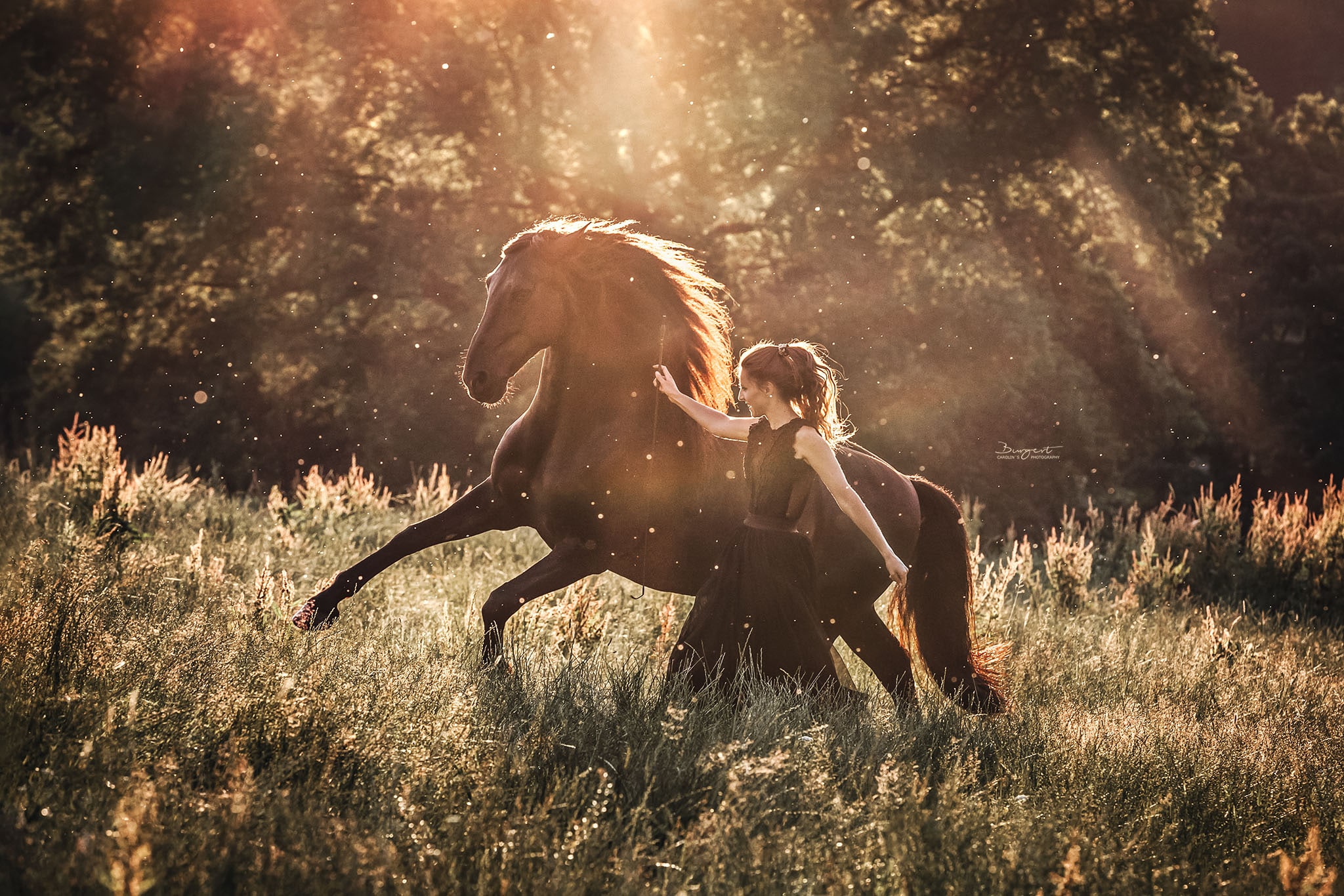 Mädchen mit Pferd im Sonnenuntergang